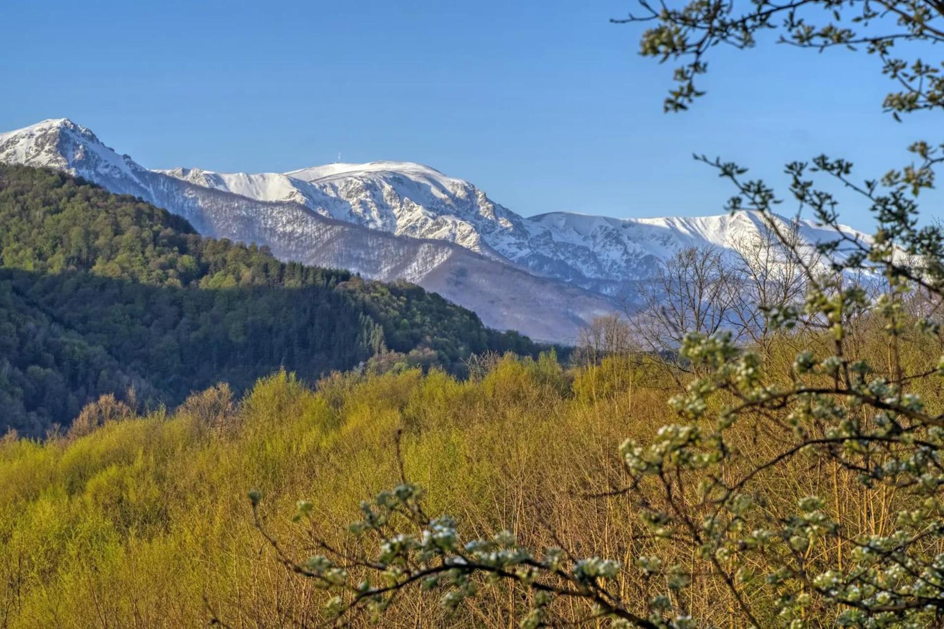 Authentic House With Stunning Mountain View - Karashka Villa Apriltsi  Eksteriør billede