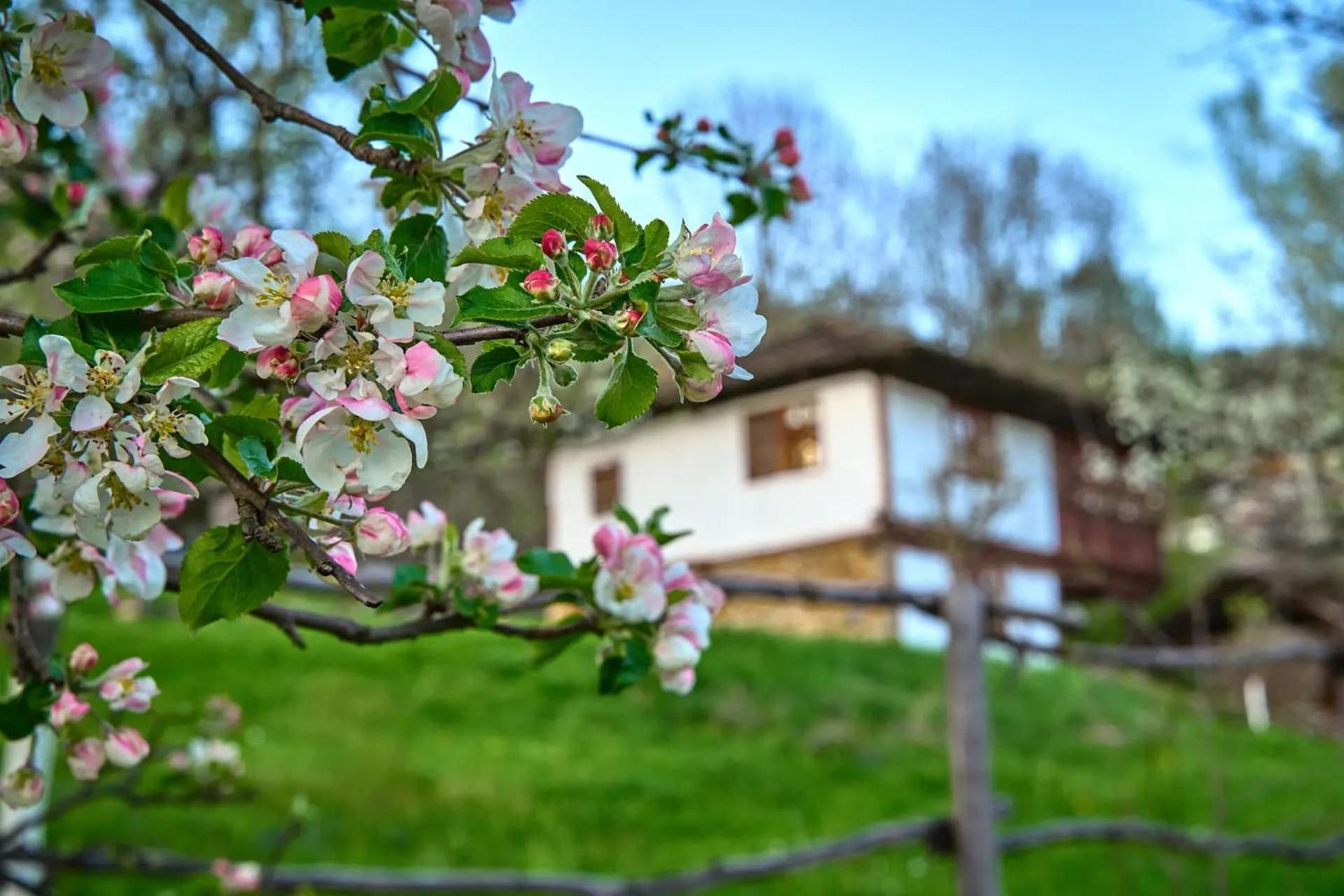 Authentic House With Stunning Mountain View - Karashka Villa Apriltsi  Eksteriør billede
